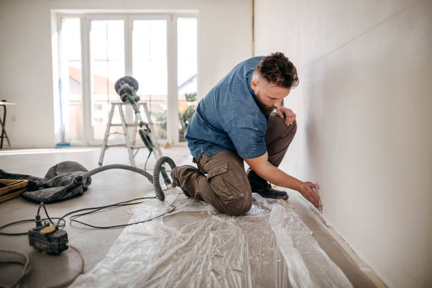 Best Drywall Sanding and Smoothing  in Red Chute, LA