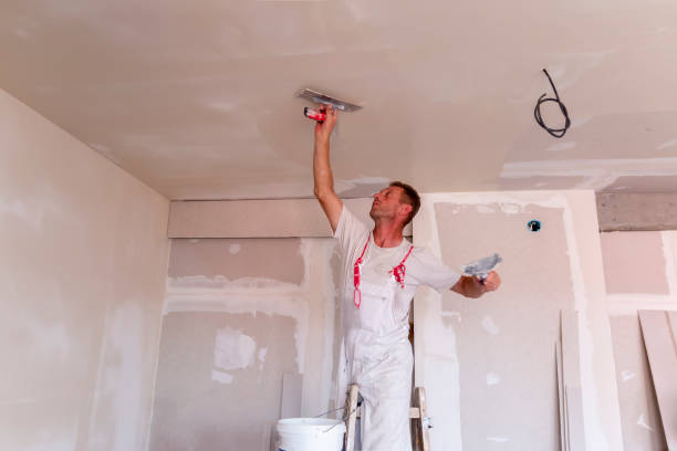 Best Drywall Removal and Disposal  in Red Chute, LA